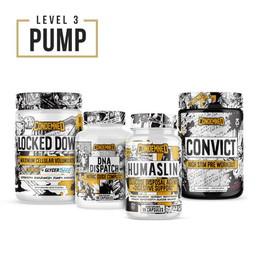 Level 3 Pump